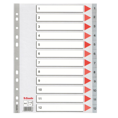 Separatore numerico 1-12 - PPL - A4 - 22,5x29,7 cm - grigio - Esselte