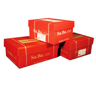 Carta in modulo continuo - 24 x 12   X3 - 53 gr - piste staccabili - bianco - Sabacart - conf. 750 fogli