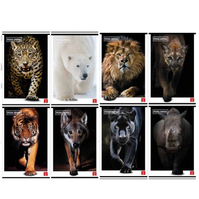 Maxiquaderno Animal - A4 - 5 mm - 42 fogli - 80 gr - Pigna