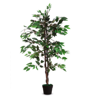 Pianta ornamentale - ficus - H 120cm - Alco